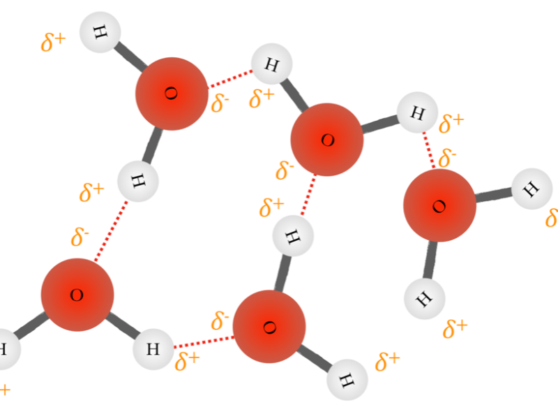 Feel the Force – Noncovalent&nbsp;interactions